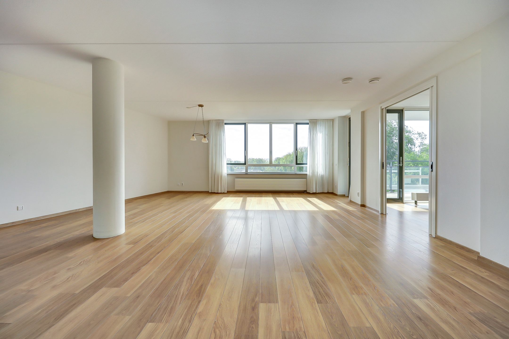 Foto 6 van Hargplein 173