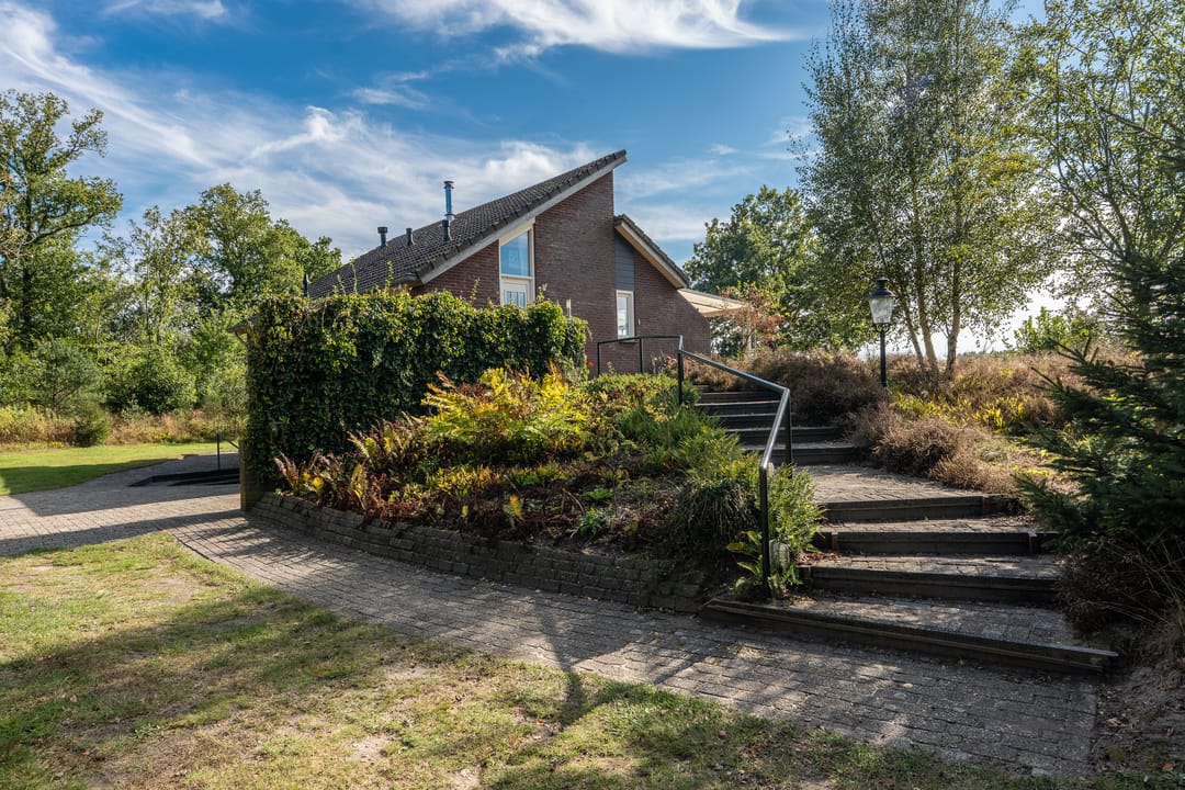 Photo 2 of 't Wit 1-A