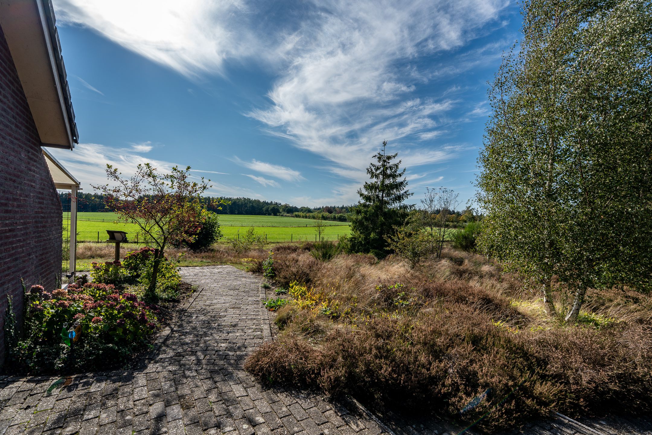 Photo 3 of 't Wit 1-A