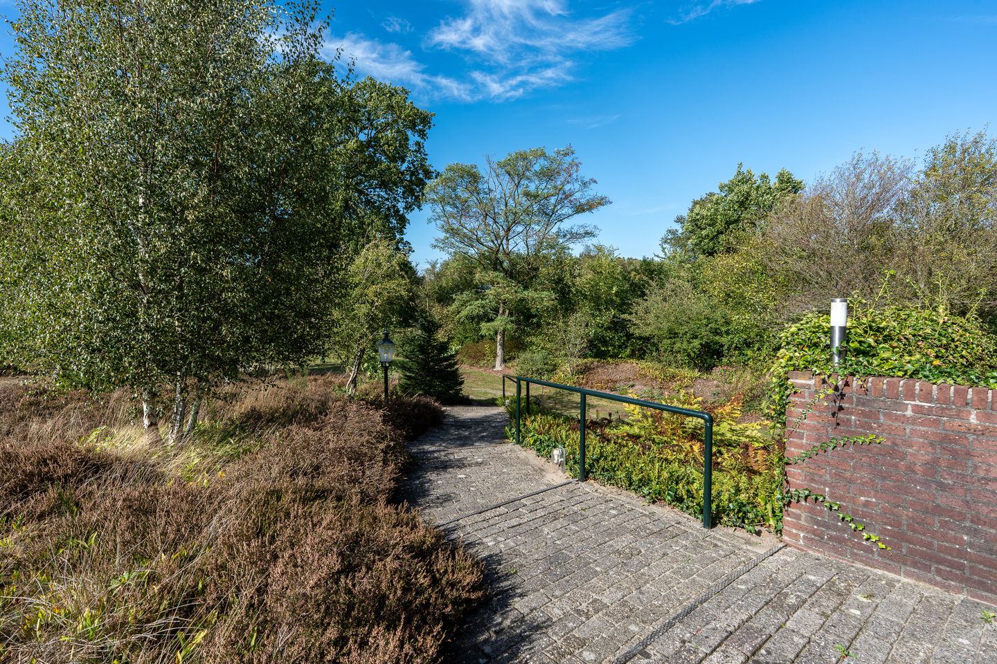 Photo 4 of 't Wit 1-A