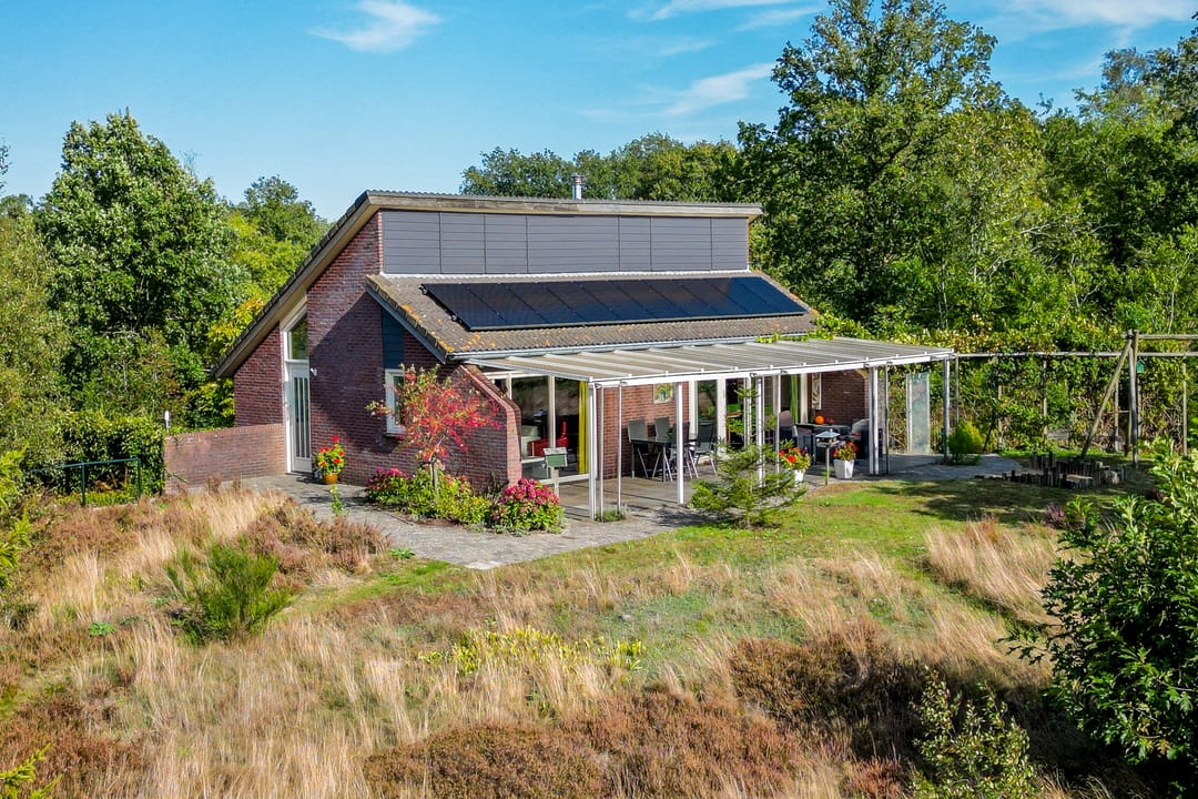 Photo 13 of 't Wit 1-A