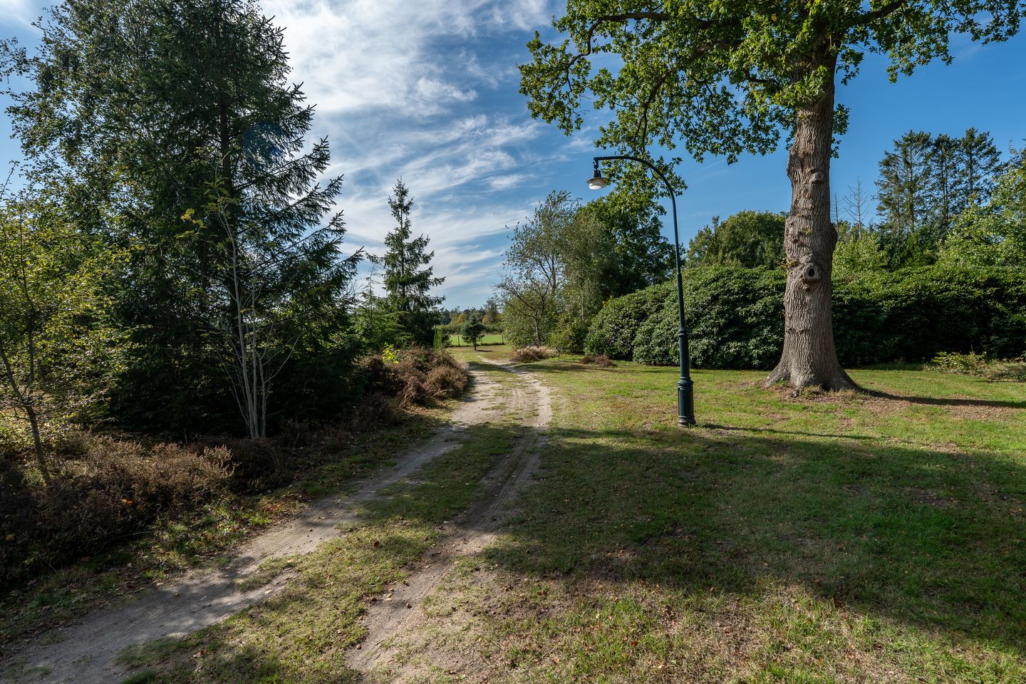 Photo 19 of 't Wit 1-A