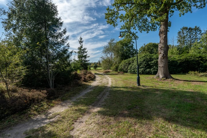 Photo 19 of 't Wit 1-A