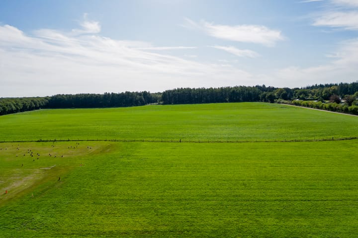 Photo 21 of 't Wit 1-A