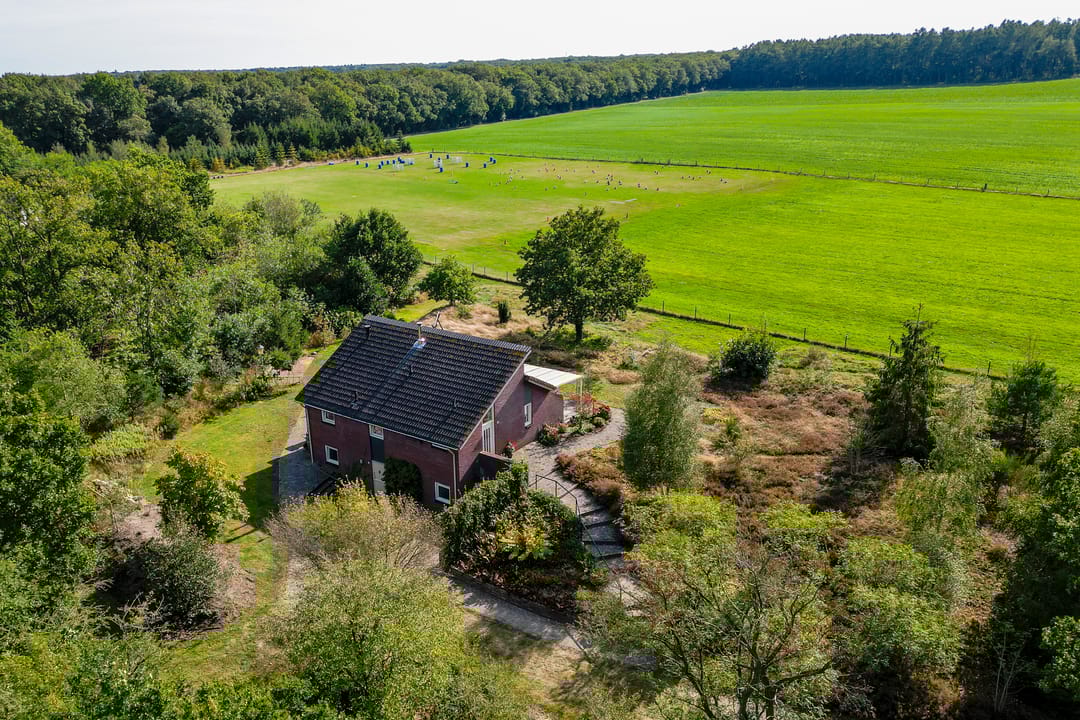 Photo 47 of 't Wit 1-A