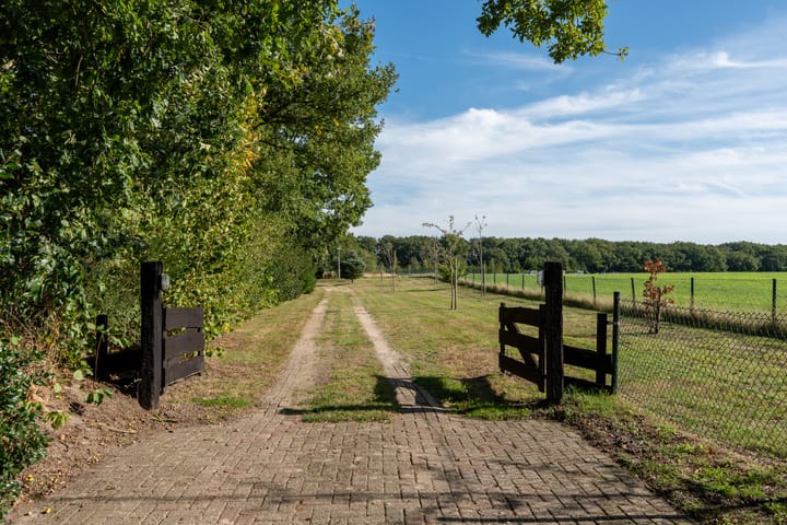 Photo 53 of 't Wit 1-A