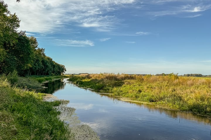 Photo 54 of 't Wit 1-A