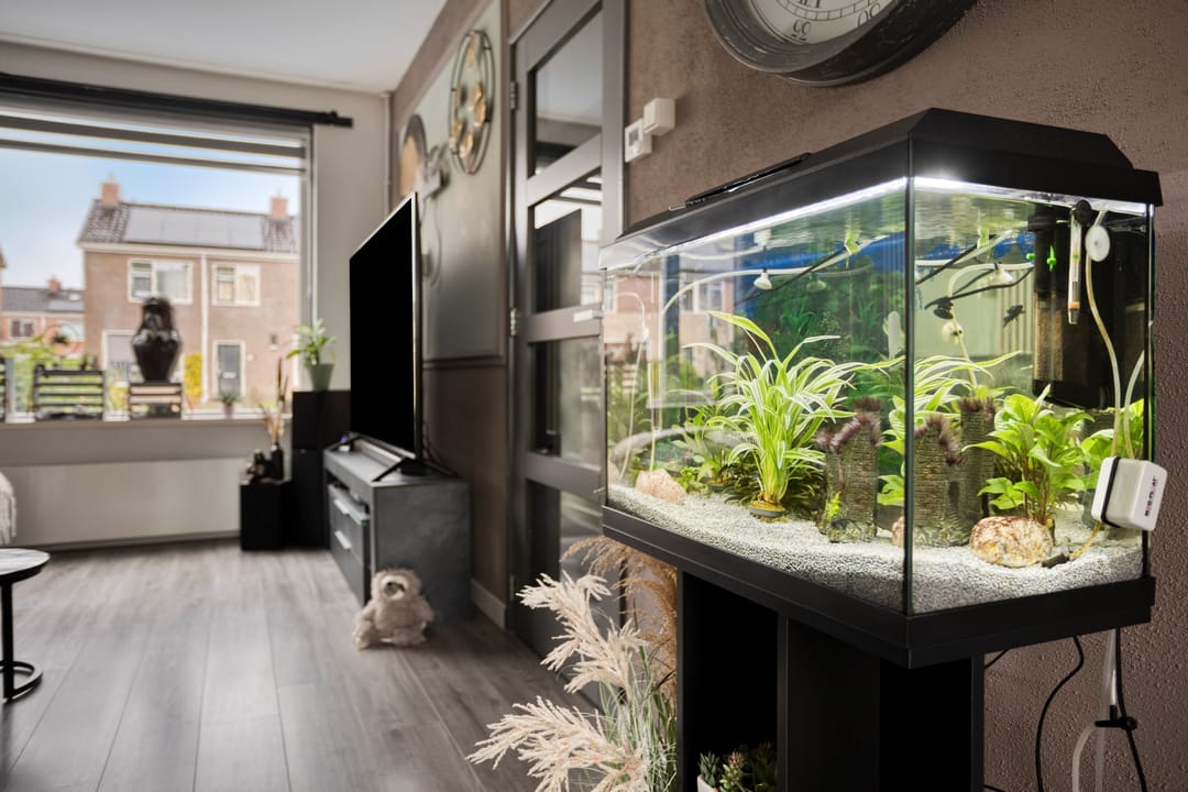 Foto 11 van De Vennen 67