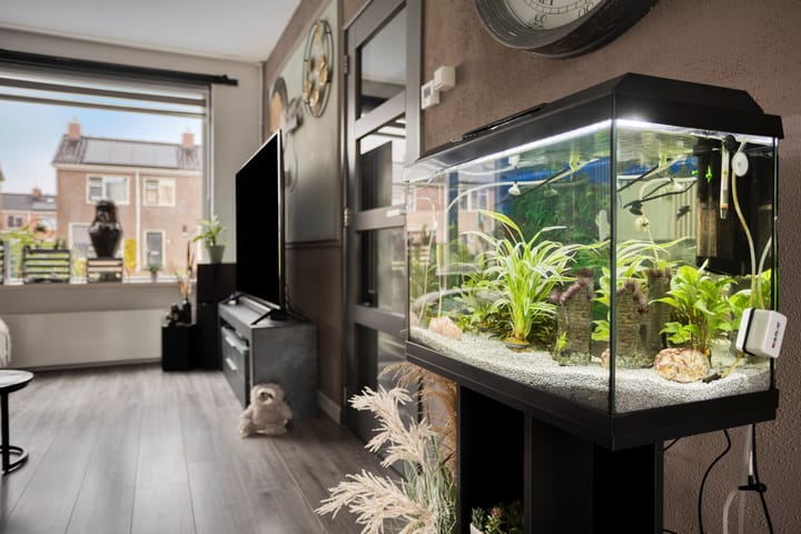 Foto 11 van De Vennen 67