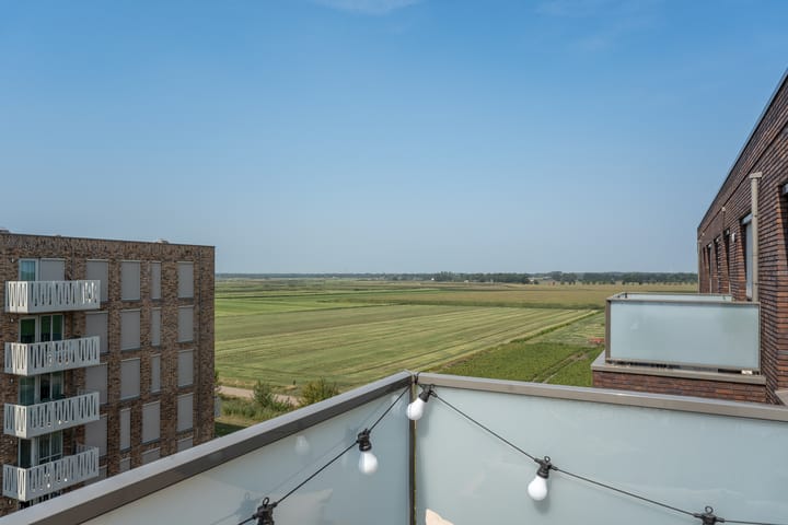 Photo 26 of Maasdijk 337