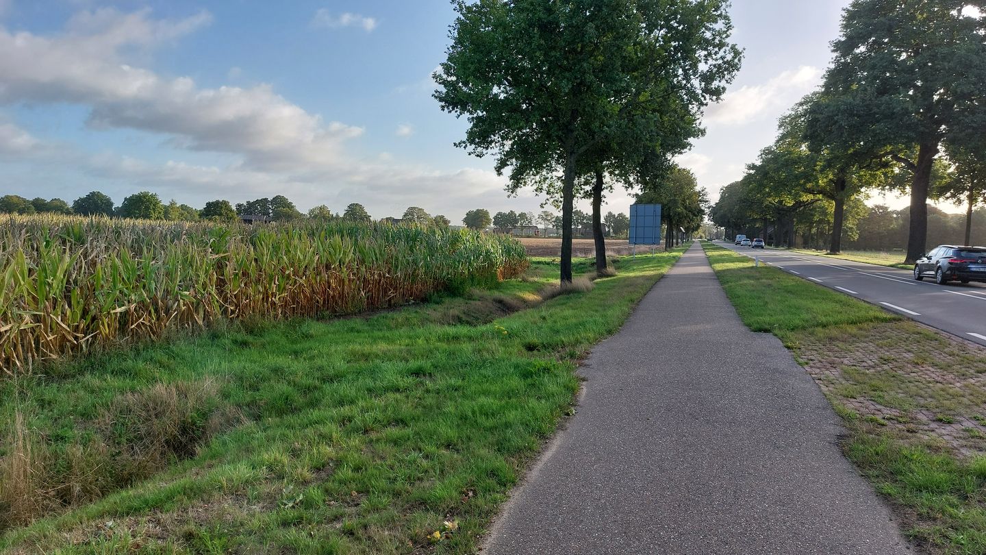 View photo 4 of Wanssumseweg