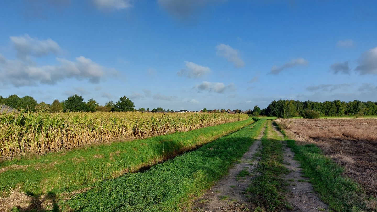 View photo 3 of Wanssumseweg