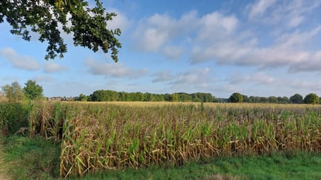 View photos