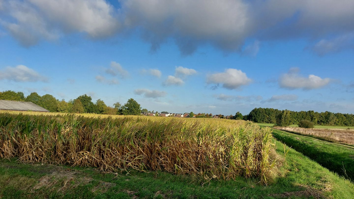 View photo 5 of Wanssumseweg