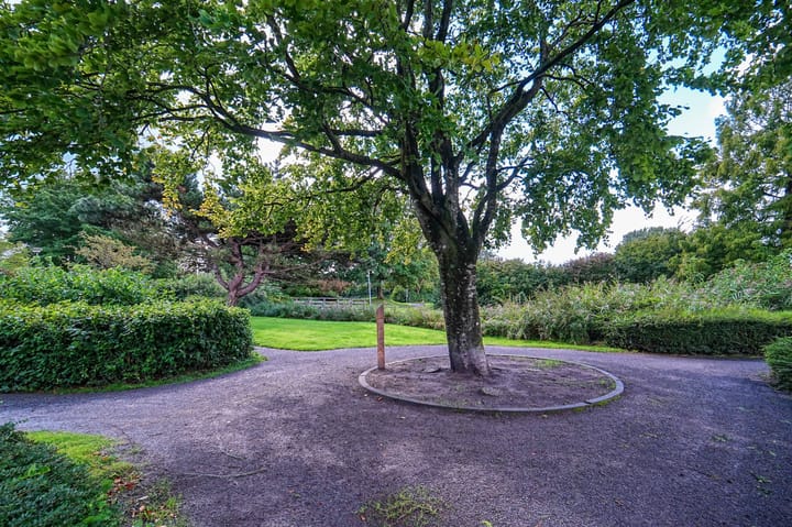 Foto 42 van De Eiken 55