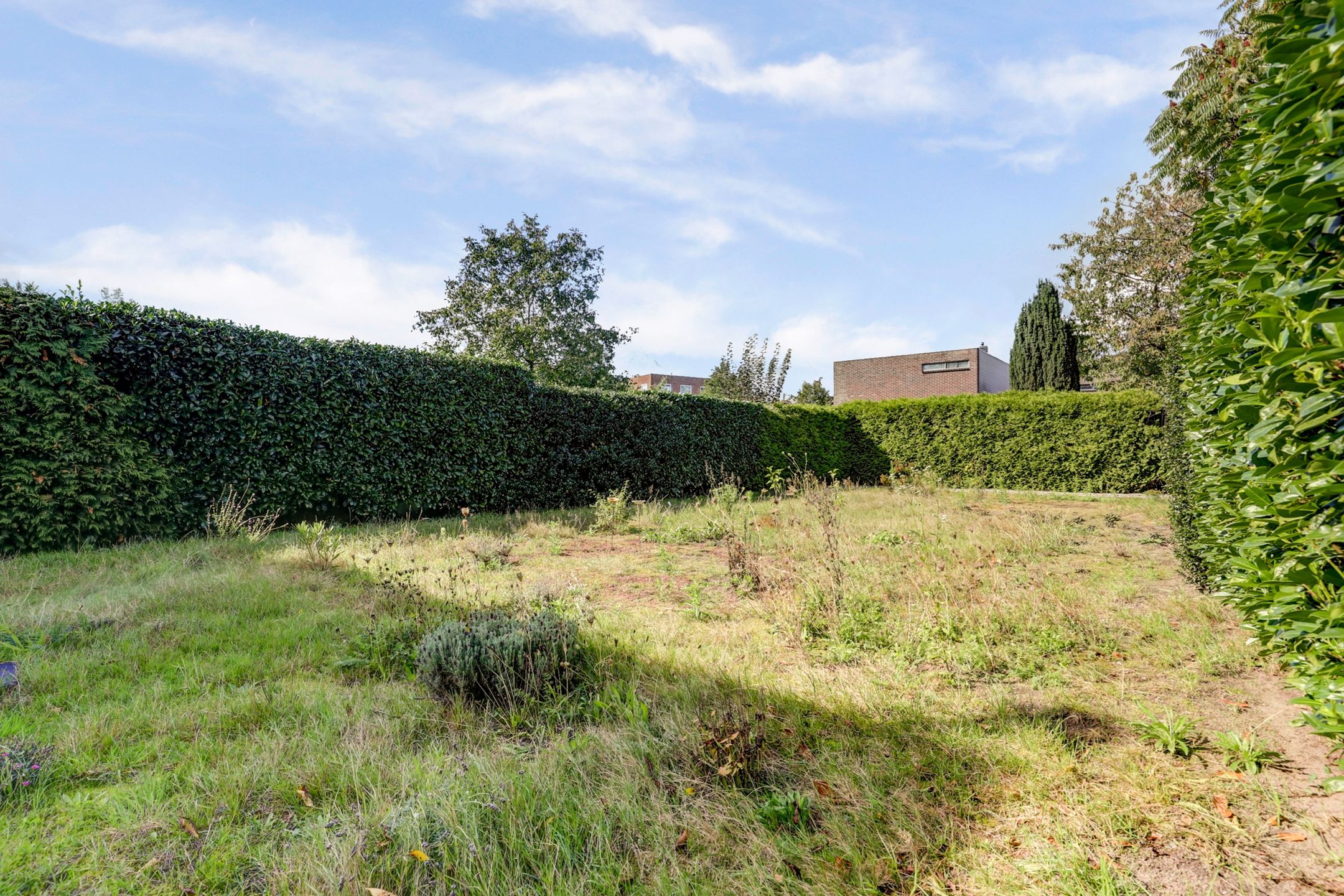 Photo 39 of Waterlei 5