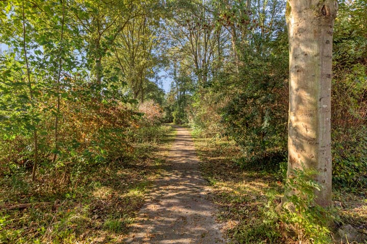 Photo 48 of Meekrapstraat 36