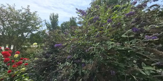View 360° photos