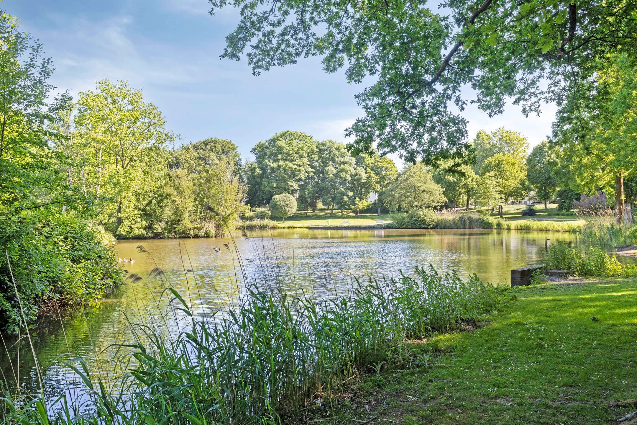 Foto 24 van Van Vredenburchlaan 13