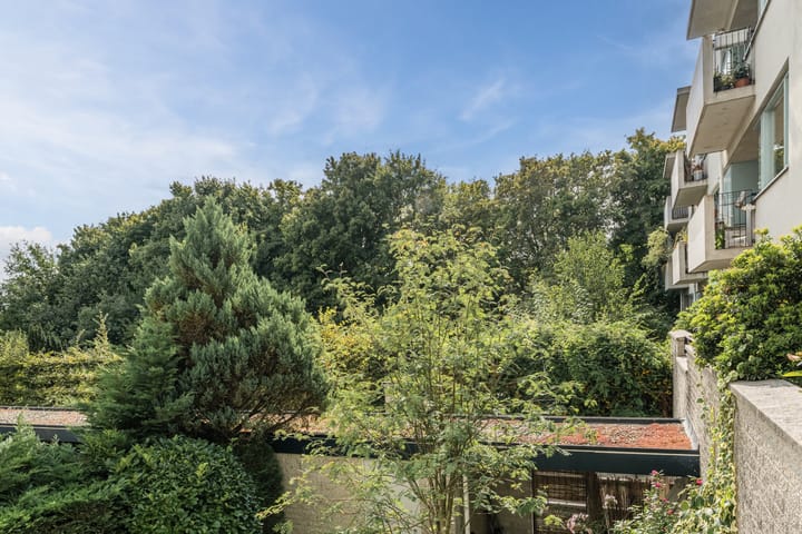 Foto 31 van Eijmerspoelstraat 40