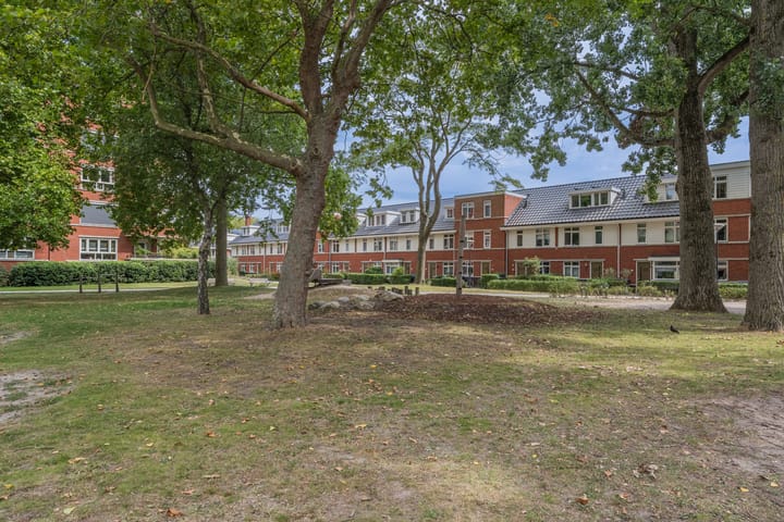 Foto 38 van Eijmerspoelstraat 40