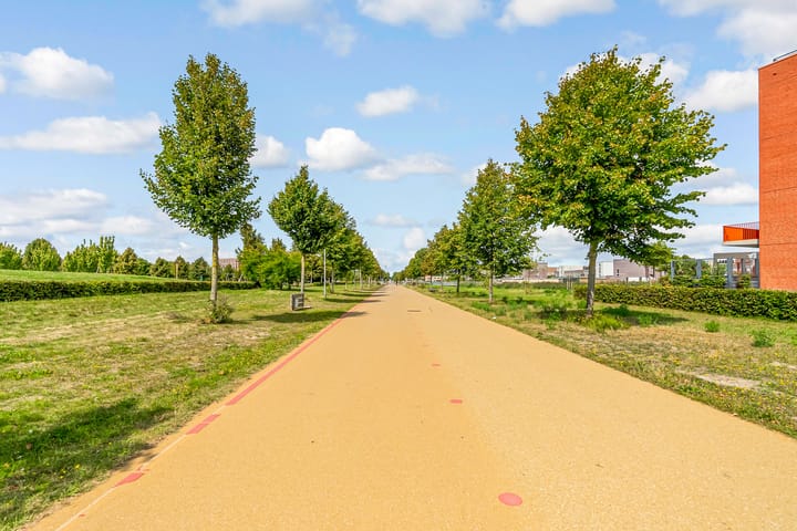 Foto 48 van Europalaan 942