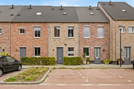 undefined main image