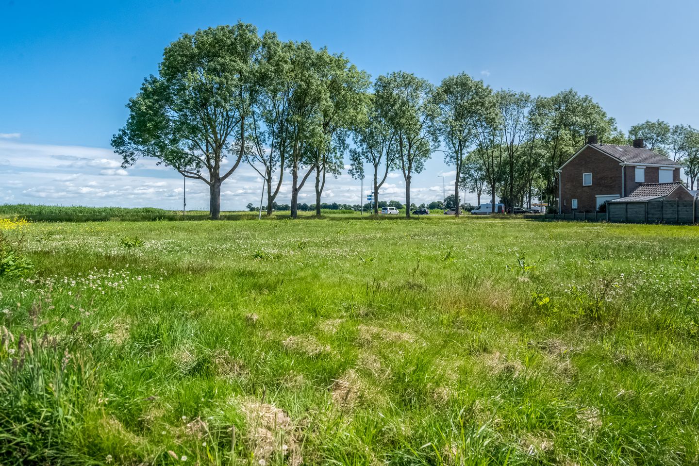 Photo 4 of Doelen 12