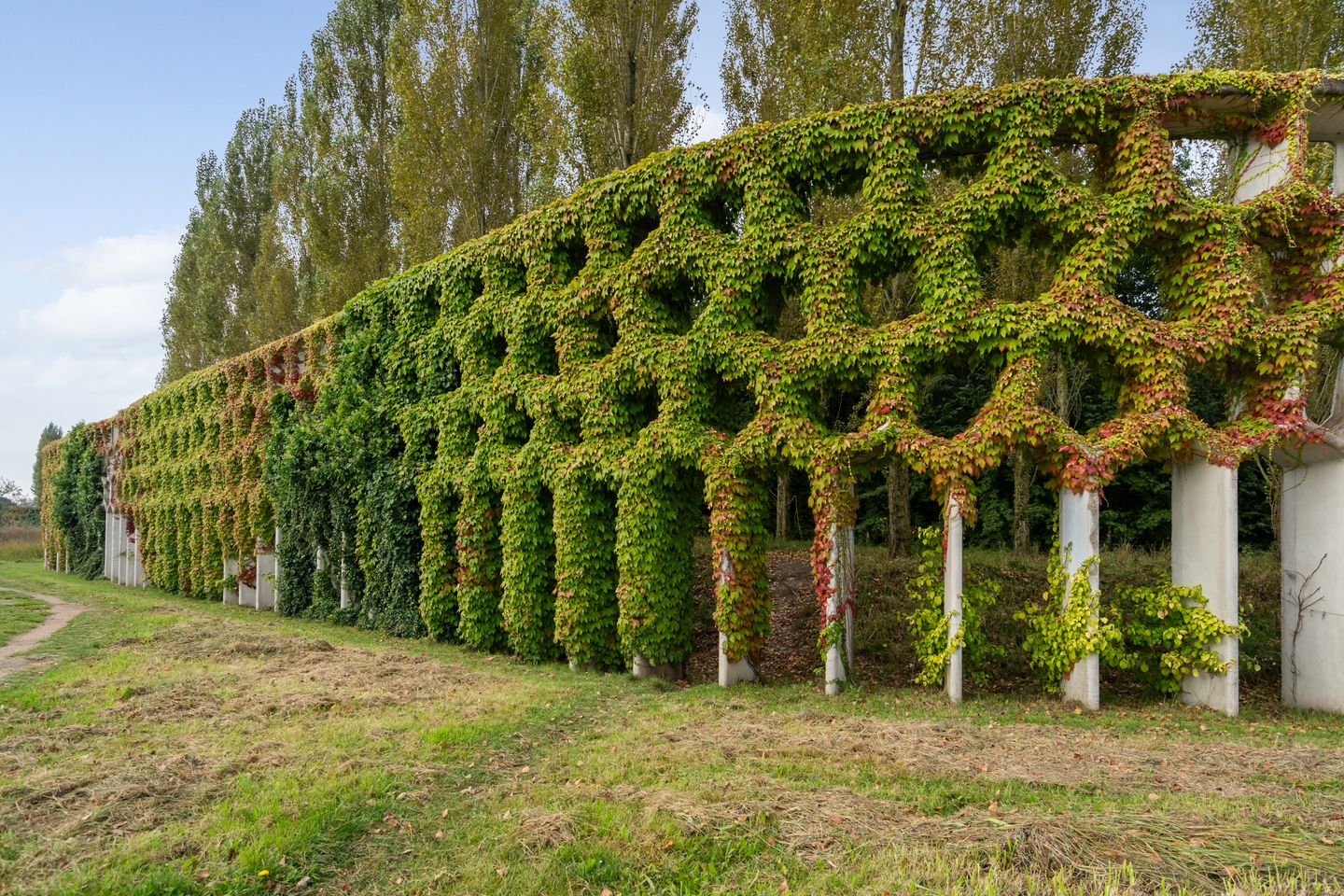 Foto 55 van Parkzichtlaan 158