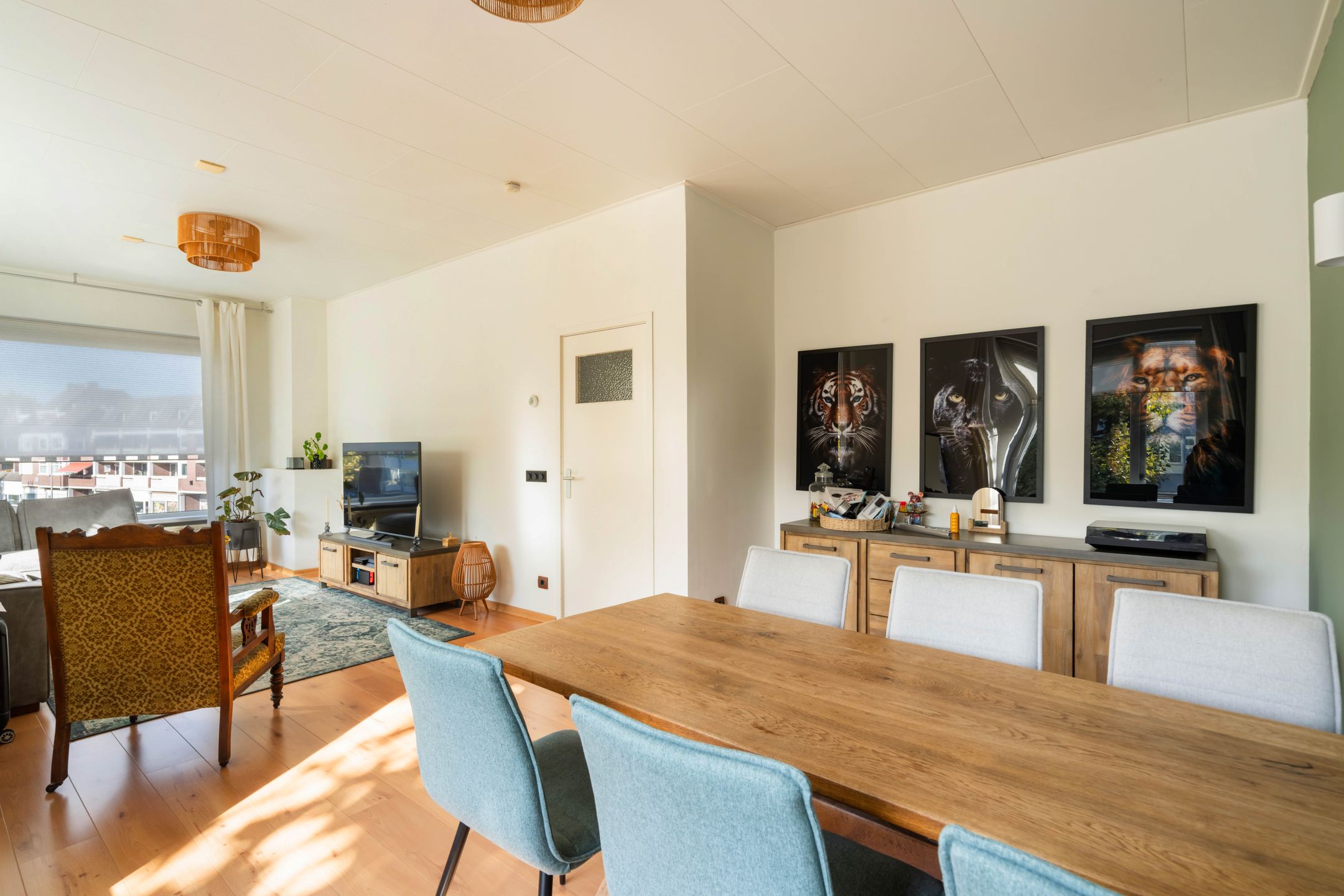 Photo 15 of Dries 91