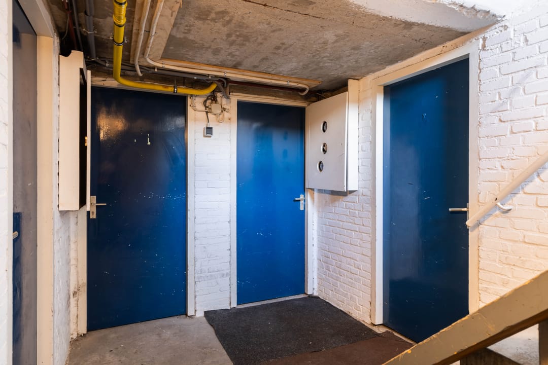 Photo 23 of Dries 91