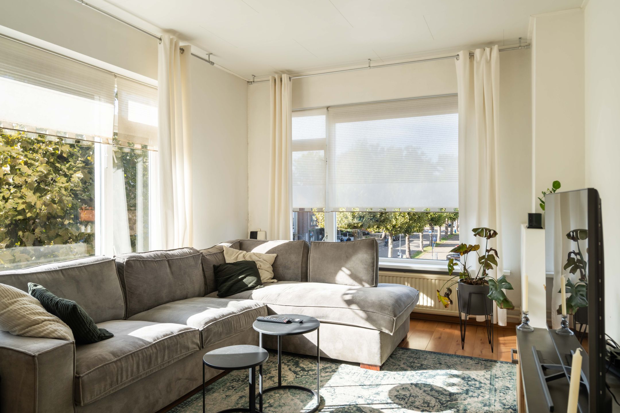 Photo 12 of Dries 91