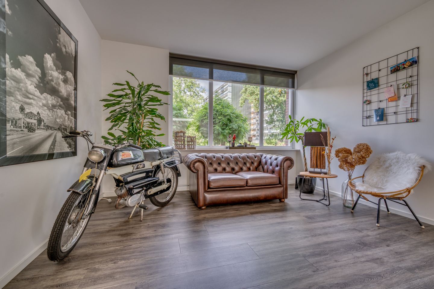 Foto 20 van Gebroeders Wienerstraat 24