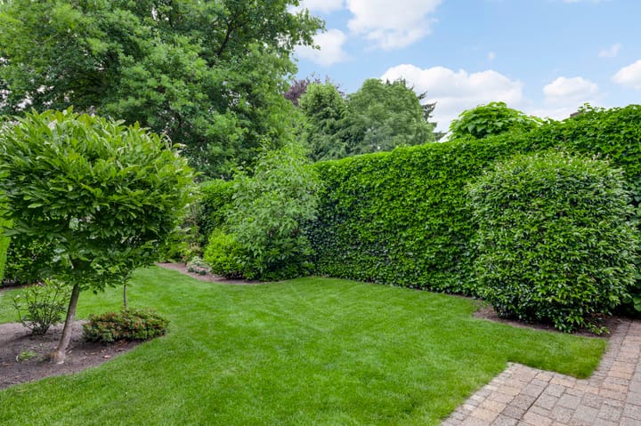 Foto 36 van Kijkakkers 6