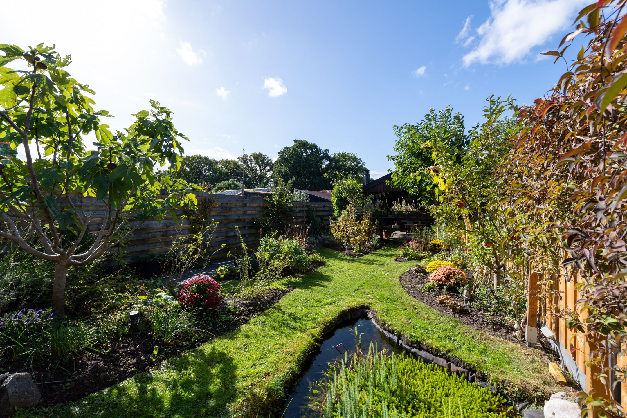 Photo 3 of Bûtsingel 44