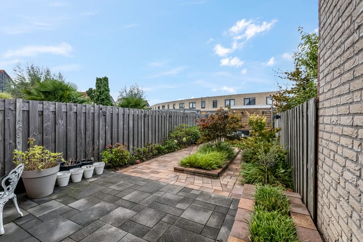 Foto 5 van Ranonkel 5