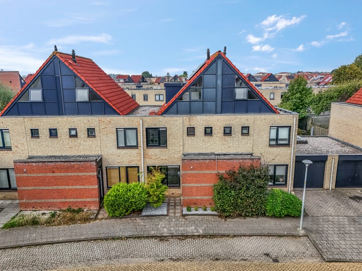 Foto 6 van Ranonkel 5