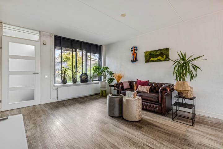 Foto 9 van Ranonkel 5