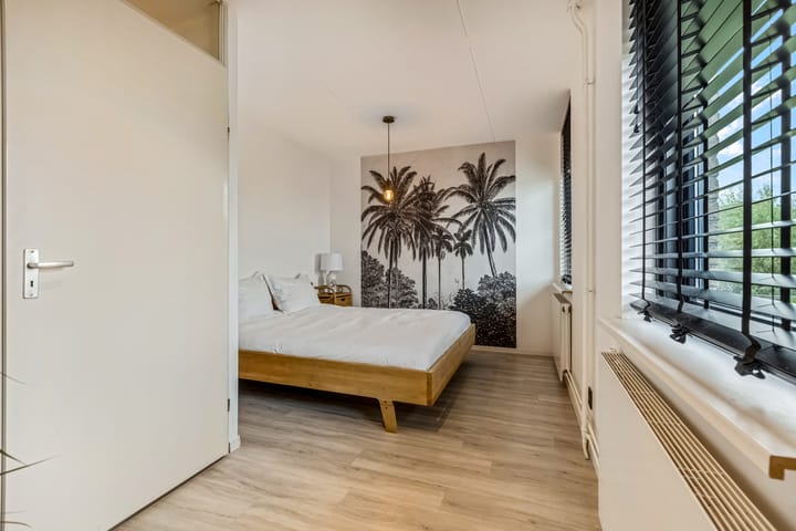 Foto 20 van Ranonkel 5