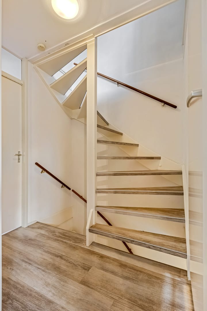 Foto 28 van Ranonkel 5