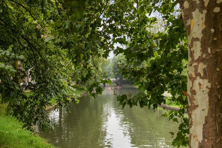 Foto 81 van Oudwijkerdwarsstraat 114