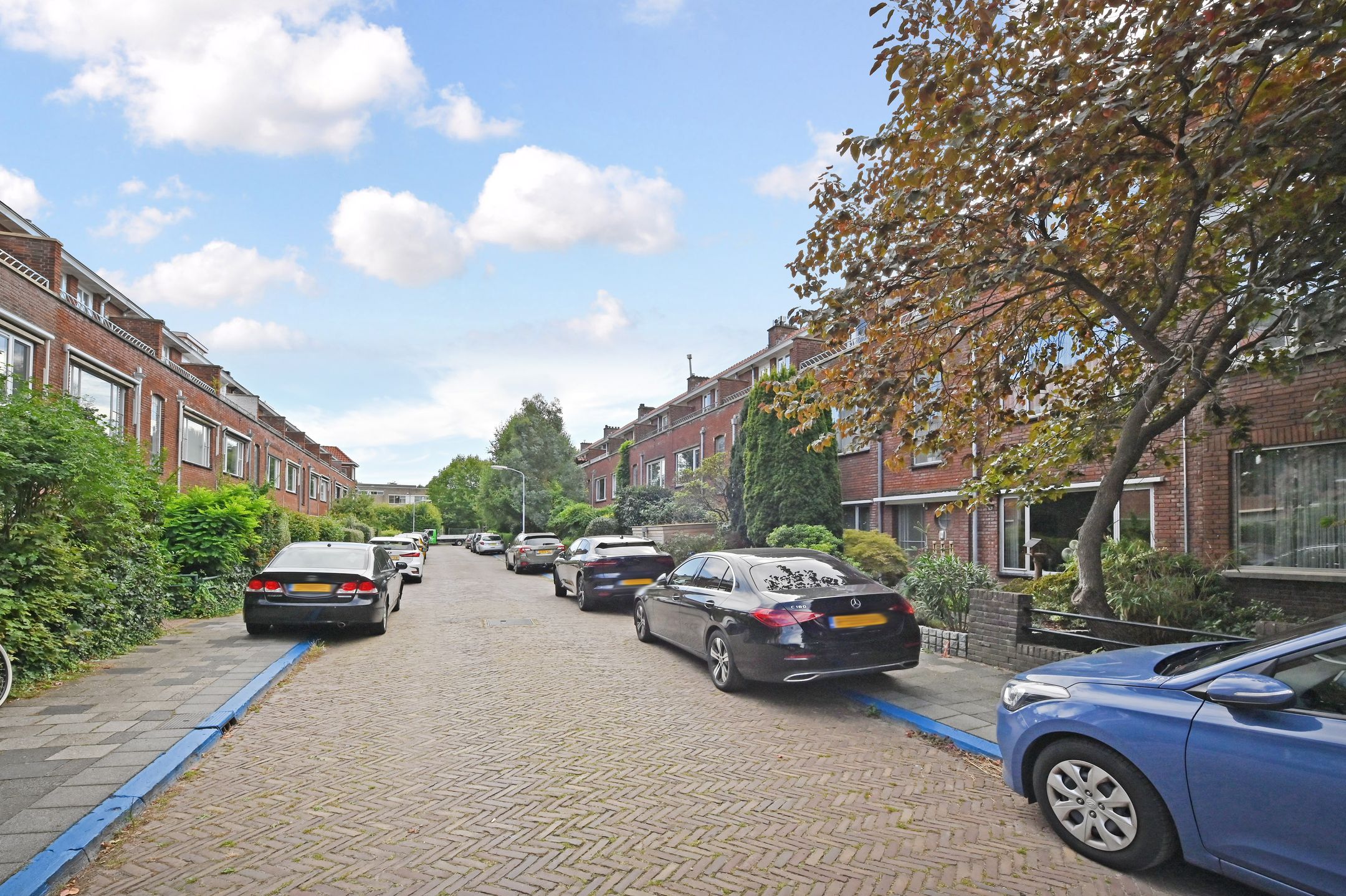 Photo 51 of van Watervlietstraat 65