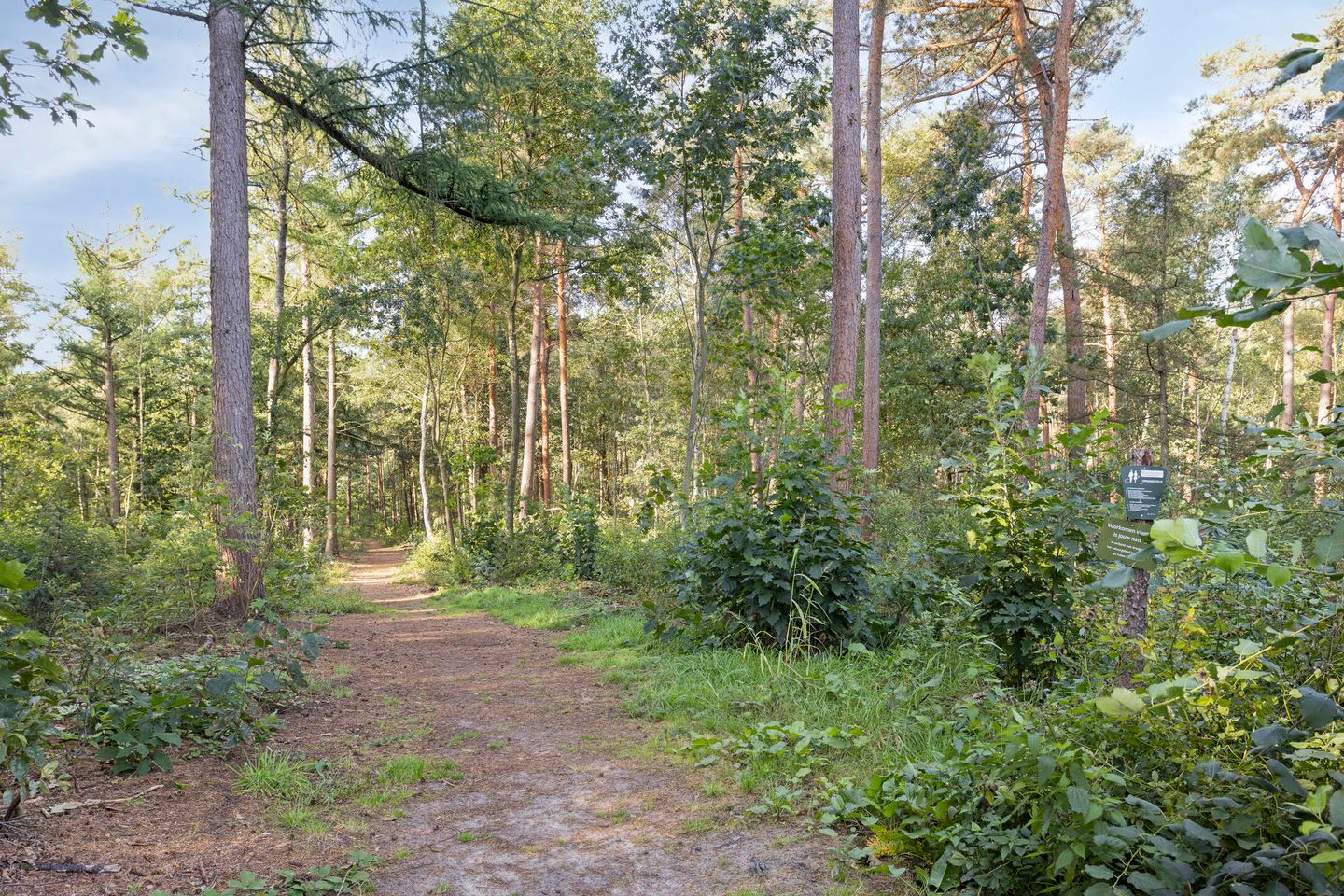 Foto 40 van Enzerinckweg 12-20