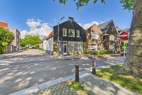 van Steenbergenlaan thumbnail