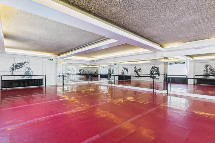 Foto 3 van van Steenbergenlaan 2