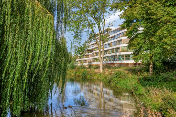 Foto 51 van Nancy Zeelenbergsingel 38