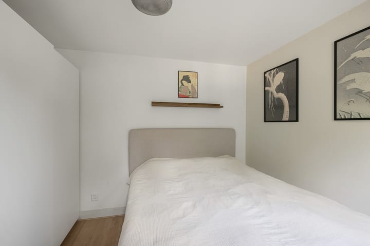 Foto 31 van Kometensingel 313