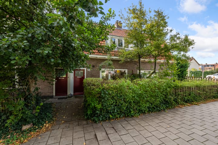 Foto 44 van Kometensingel 313