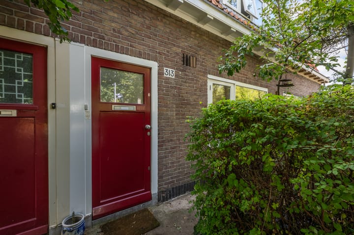 Foto 45 van Kometensingel 313