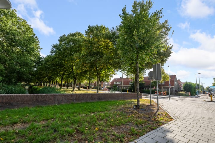 Foto 48 van Kometensingel 313